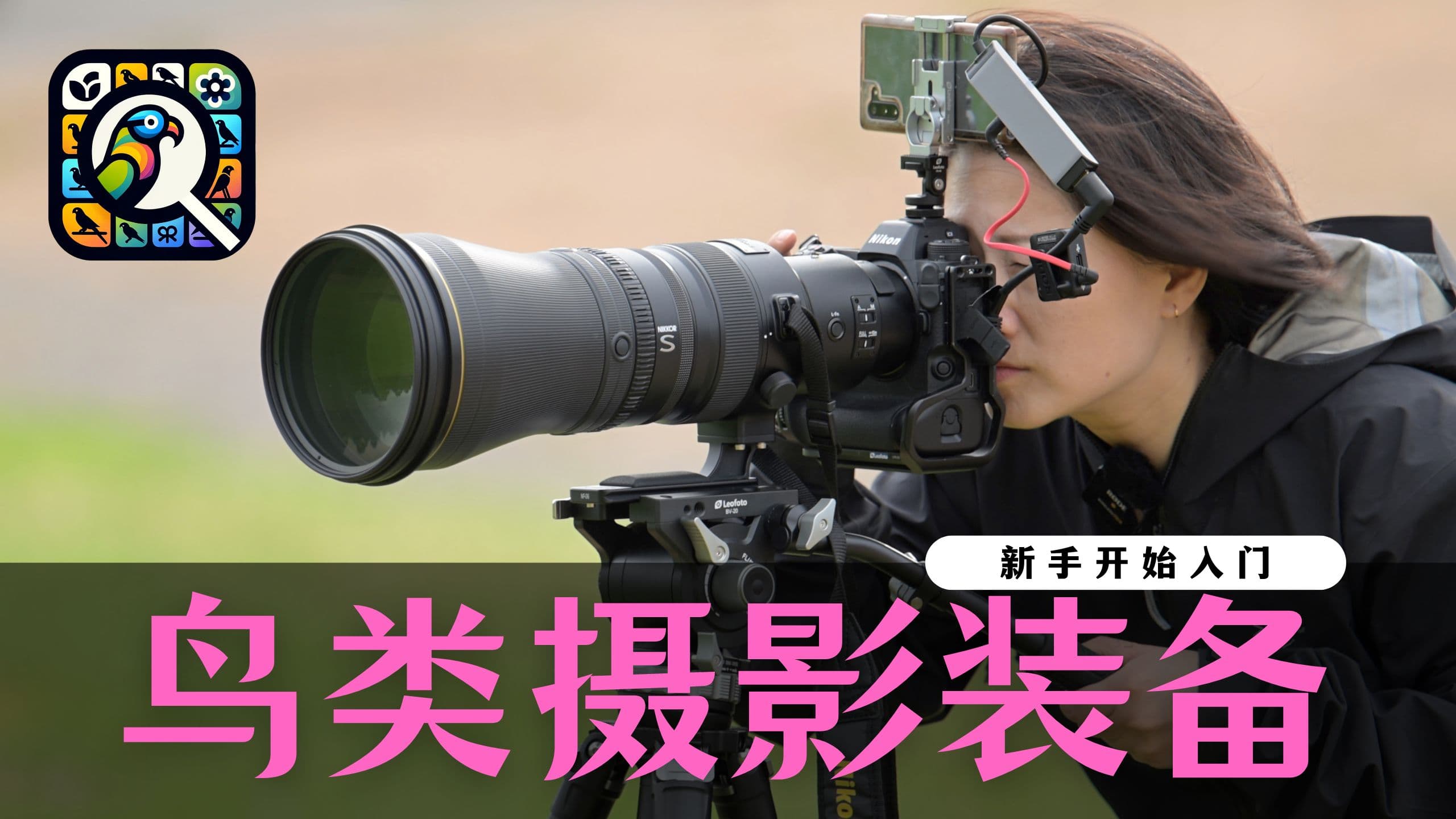 【詹姆斯】十种武器:镜头下的飞翔鸟詹姆斯打鸟装备深度解析