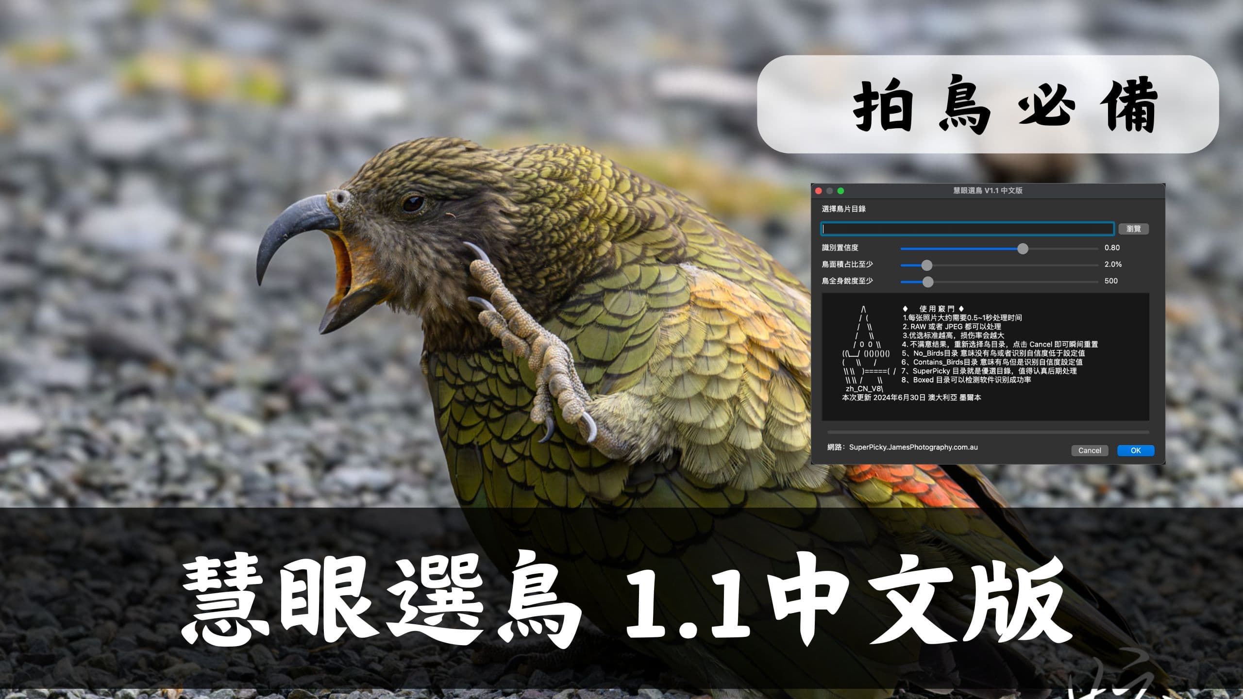 慧眼選鳥 V1.1更新日誌